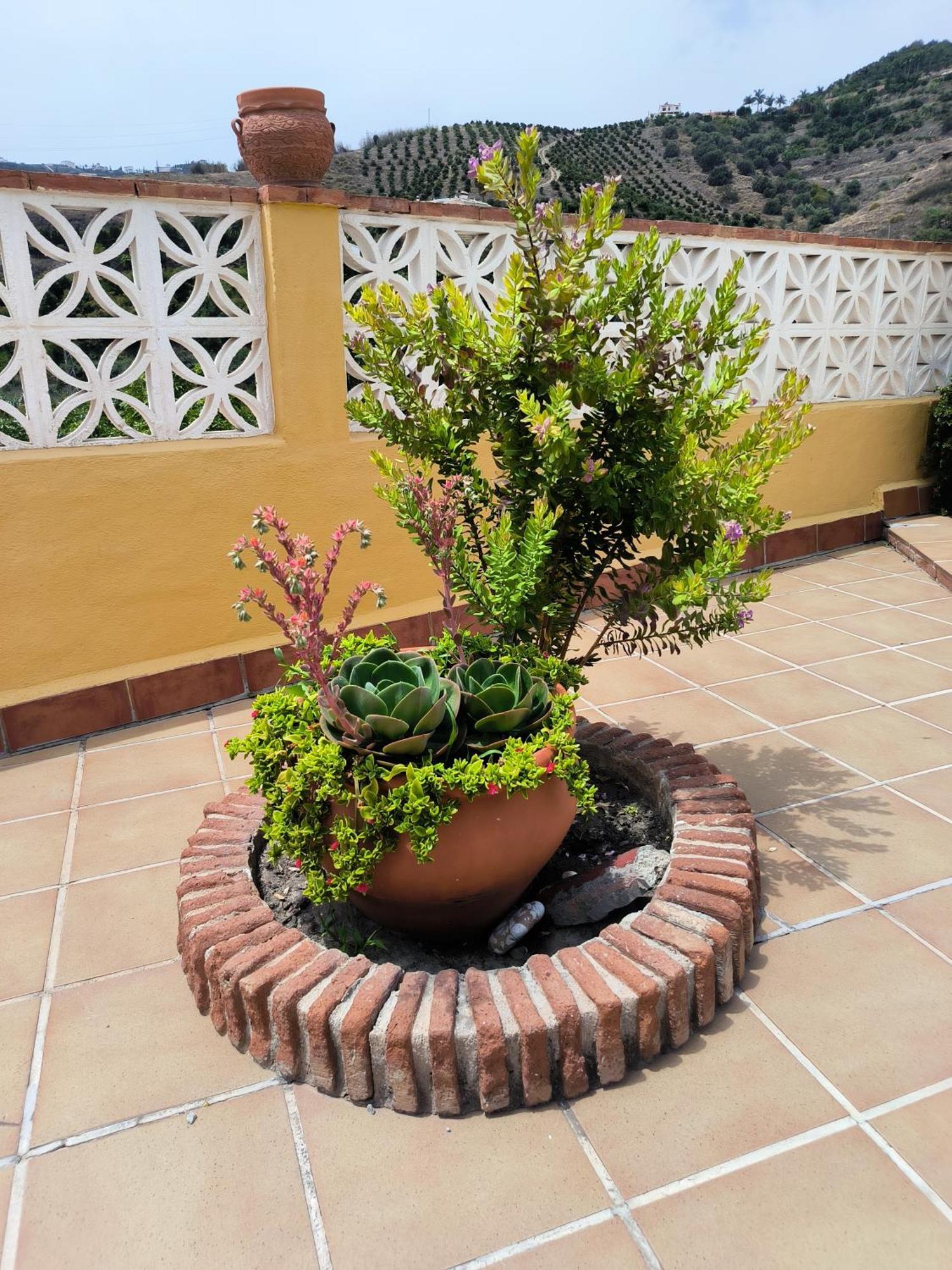 Cortijo Maria Gomez Villa Málaga Exteriör bild